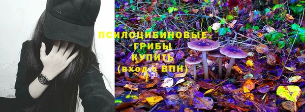 2c-b Козловка