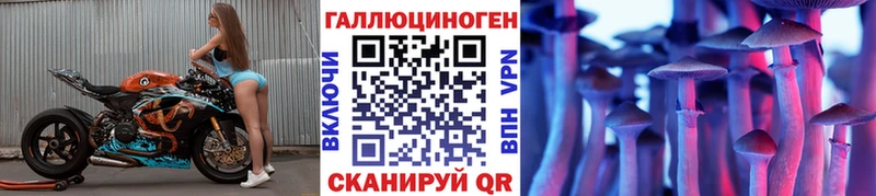 Купить  Короча  Галлюциногенные грибы Cubensis 